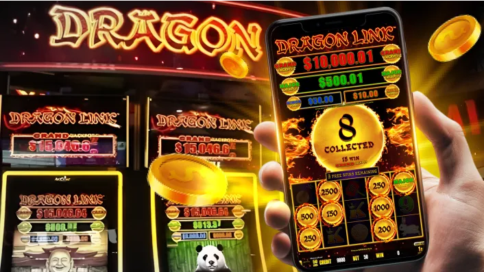 Live Dealer Casino